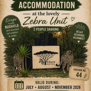 WIN A BUSH ESCAPE WORTH R3,000!